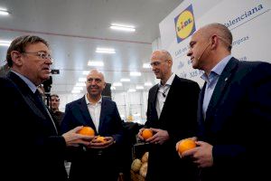 Lidl duplica su capacidad logística y sus compras en la Comunidad Valenciana para impulsar su negocio en todo el arco mediterráneo