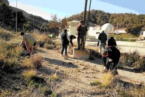 Usuarios del CEEM de Benidorm volverán a realizar este año labores de voluntariado ambiental