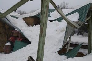 Agricultura establece, a instancias de LA UNIÓ, ayudas para compra de animales y reparación en granjas por catástrofes naturales como la DANA y la borrasca Gloria