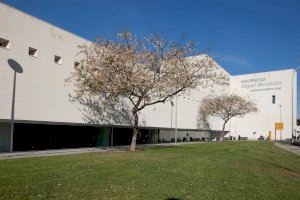 Estudiantes de Podología de la UMH atienden de forma gratuita a un total de 1.691 personas durante el primer semestre del curso 2019/2020