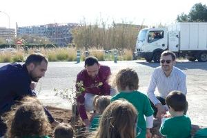 València té 114.000 arbres plantats en els seus carrers