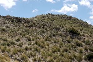 El Consejo Asesor y de Participación de Medio Ambiente dictamina favorablemente la protección legal del Monumento Natural el Límite K/T Capa Negra de Agost