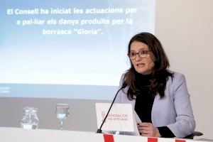 El Consell destinarà els fons rebuts d'una herència a dues associacions de diversitat funcional