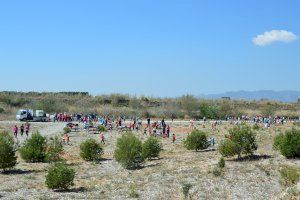 Cerca de 5000 estudiantes de la provincia han visitado el Paisaje Protegido de la Desembocadura del río Mijares durante el 2019 - (foto 2) Cerca de 5000 estudiantes de la provincia han visitado el Paisaje Protegido de la Desembocadura del río Mijares durante el 2019 - (foto 2)