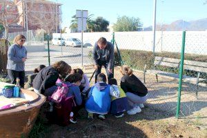 Nules dinamitza l’Espai Verd Viu amb motiu del Dia de l’Arbre