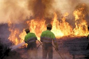 ¿Predecir incendios forestales mediante un sistema de satélites?