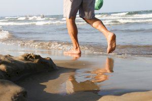 Febrero arranca con temperaturas récord que han superado los 25 grados en la Comunitat