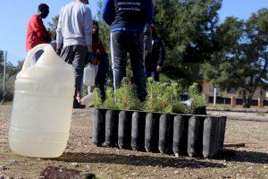 Llíria participa en la celebración del Día del Árbol en la Comunitat Valenciana