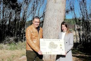 María Jiménez entrega cinc panells informatius d'arbres monumentals en l'Alt Palància - (foto 4)