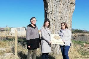 María Jiménez entrega cinc panells informatius d'arbres monumentals en l'Alt Palància - (foto 5)