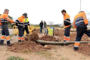 El col·legi Bisbe Hervàs aposta pel bosc mediterrani al seu pati