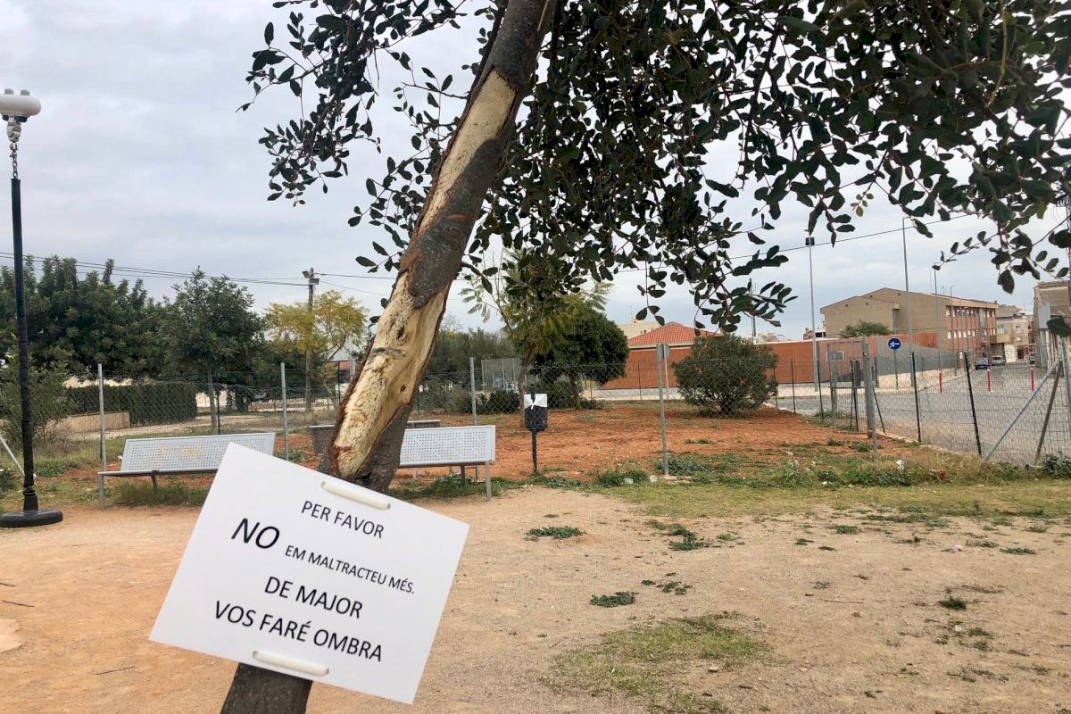 L’Ajuntament de Betxí penja un cartell d'auxili per salvar un arbre que ha intentat ser arrancat en repetides ocasions