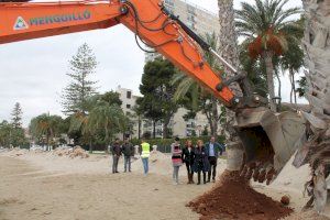 Benicàssim reutiliza la posidonia que sacó del mar ‘Gloria’