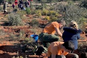 La conselleria de Emergencia Climática y Transición Ecológica promueve la plantación de 100.000 árboles con motivo del Día del Árbol