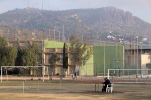 Cant d'ocells sota el sol de Puçol - (foto 2) Cant d'ocells sota el sol de Puçol - (foto 2)