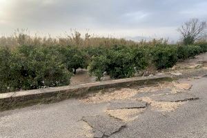 Alberic exigeix exempcions fiscals i ajudes econòmiques per als agricultors afectats per les inundacions