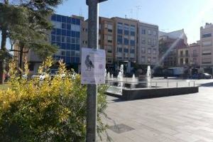 Coneixes els riscos de donar menjar als coloms?