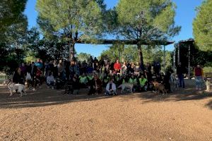 Más de 70 mascotas participan en el Curso de obediencia canina urbana de Paterna