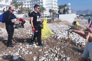 Voluntaris recullen 600 kilos de residus al litoral d’Altea - (foto 3)