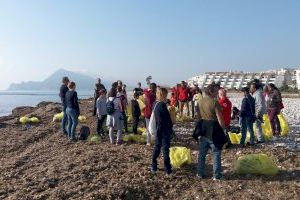 Voluntaris recullen 600 kilos de residus al litoral d’Altea - (foto 2)