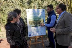 Medio Ambiente presentará el 19 de febrero el Plan Director y de Gestión para la adecuación y mantenimiento del Palmeral de Orihuela