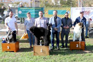 Las Jornadas Caninas de Educación para la Convivencia concluyen con gran éxito de participación