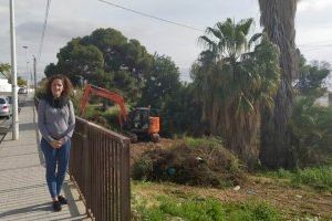 Tareas de limpieza y desbroce en el Barranco de Sendra de Crevillent