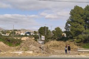 Tasques de neteja i desbrossament al Barranc de Sendra de Crevillent - (foto 2)