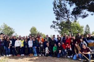 Nicolau Andreu, Cronista  y  Soterranya organizan una jornada de reforestación de la Serra Perenxisa - (foto 2)