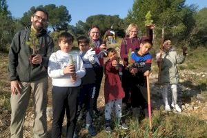 Nicolau Andreu, Cronista  y  Soterranya organizan una jornada de reforestación de la Serra Perenxisa - (foto 3)