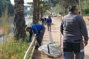 El Ayuntamiento duplica la inversión en la regeneración de la ladera del Vinalopó con programas de formación y empleo