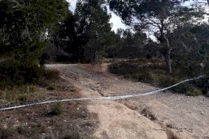 Los socialistas exigen que se retire el encintado instalado para señalizar la marcha ciclista del pasado domingo