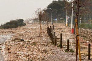 Archivo del temporal Gloria