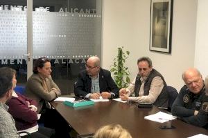 El Ayuntamiento de Alicante promueve un espacio Cero Cero en Carnaval con actividades de ocio - (foto 2) El Ayuntamiento de Alicante promueve un espacio Cero Cero en Carnaval con actividades de ocio - (foto 2)