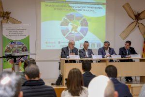 El treball verd, una oportunitat per a la província d'Alacant - (foto 2) El treball verd, una oportunitat per a la província d'Alacant - (foto 2)