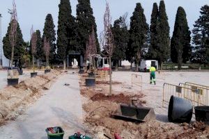 La renovació de l'entrada del cementeri, tasca destacada de manteniment aquesta setmana a Almussafes - (foto 2)