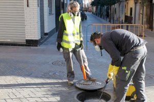 Benicàssim inicia un tractament de reforç contra les paneroles