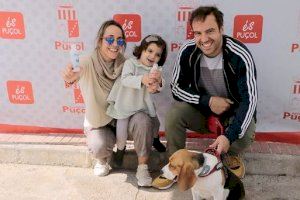 Nous punts per a recollir l'ampolleta per a mascotes - (foto 2)