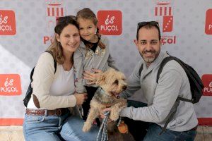 Nous punts per a recollir l'ampolleta per a mascotes - (foto 3)