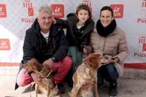 Nous punts per a recollir l'ampolleta per a mascotes - (foto 4)