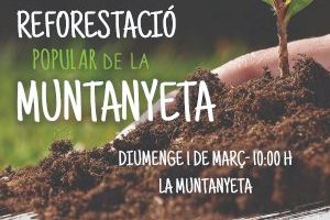 Els xiquets d'Alberic apadrinaran els arbres en la reforestació de la Muntanyeta de l'1 de març