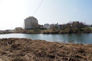 El “renaixement” del Clot de Burriana - (foto 4)