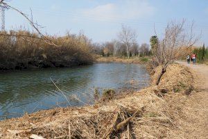 El “renaixement” del Clot de Burriana - (foto 5)