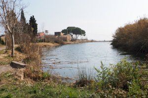 El “renaixement” del Clot de Burriana - (foto 6)