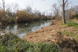 El “renaixement” del Clot de Burriana - (foto 7)