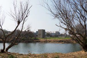 El “renaixement” del Clot de Burriana - (foto 8)