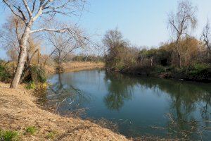 El “renaixement” del Clot de Burriana - (foto 9)