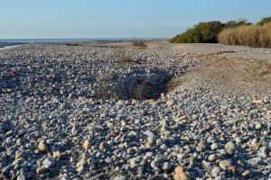 La borrasca "Gloria" cambia la fisonomía del Paisaje Protegido de la Desembocadura del río Mijares