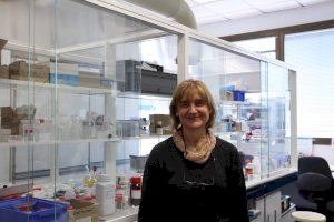 Set investigadores de la UPV, entre les millors científiques d'Espanya - (foto 5)