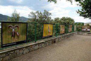 El Porrat de Sant Macià ofereix exposicions i visites guiades - (foto 9)